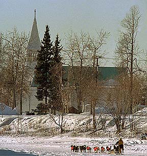 Yukon Quest.jpg (49037 bytes)