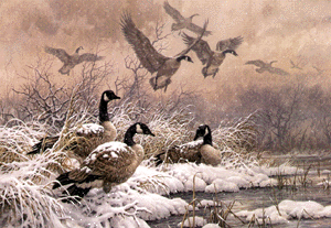geese1.gif (60868 bytes)